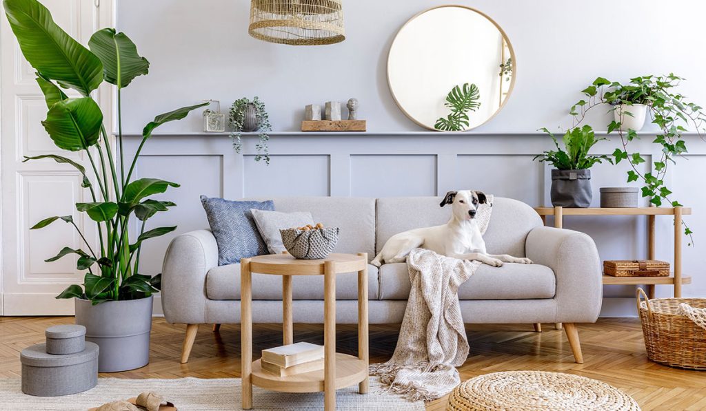 interior-design-of-living-room - Property Therapist